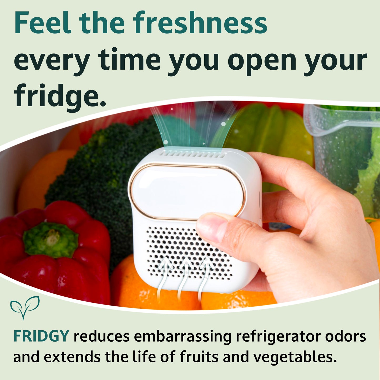 Freshness everytime you open your fridge