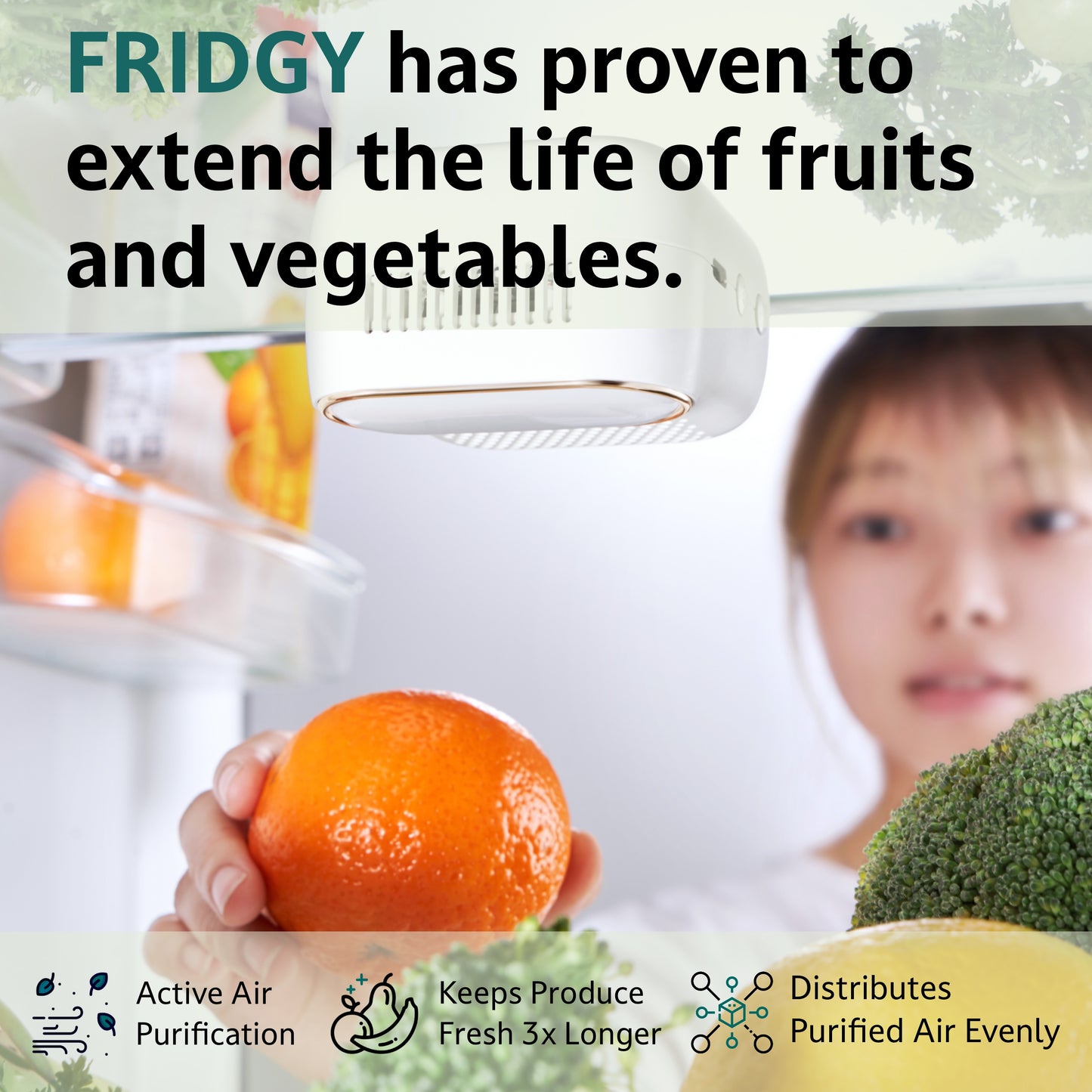 Fridgy extend the life of fruit and vegetables