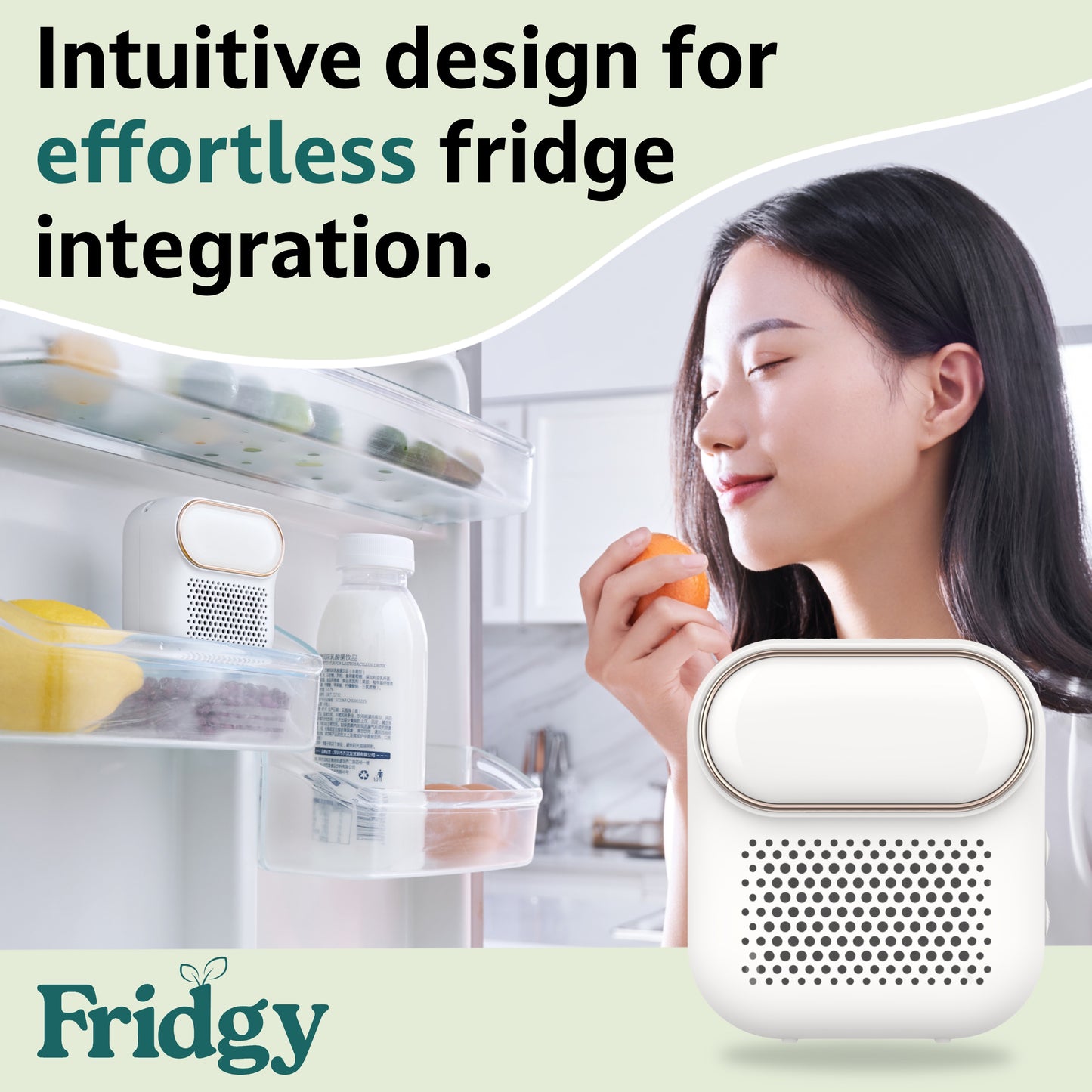 Fridgy fridge device