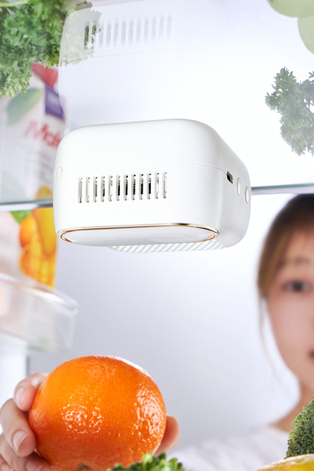 Fridgy fridge air purifying device on a fridge shelf