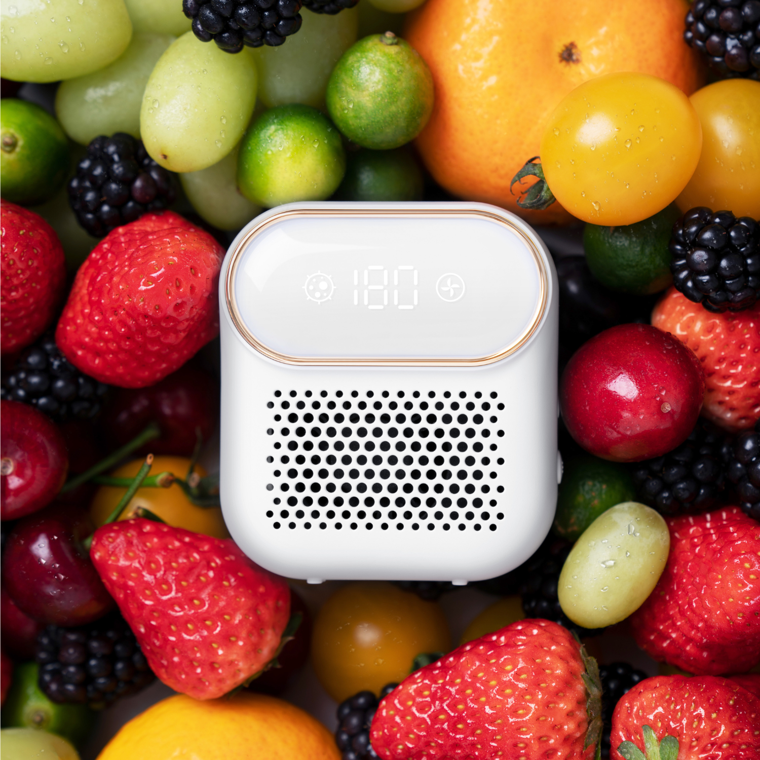 Fridge air purifier with berries