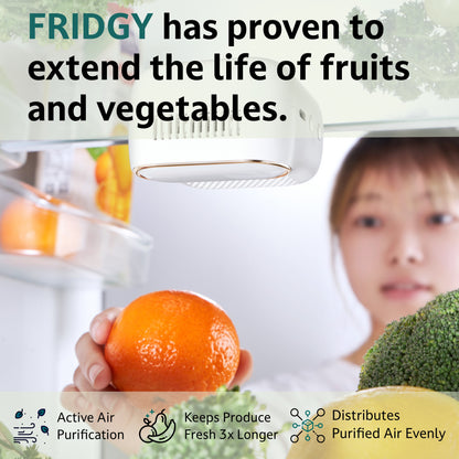 Fridgy extend the life of fruit and vegetables